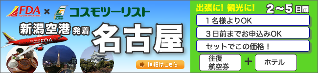 名古屋格安航空宿泊パック